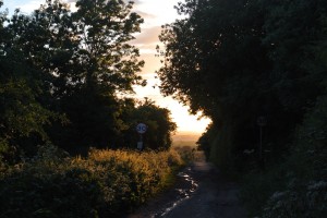 Toft's Hill Stathern 2013