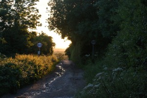 Toft's Hill Stathern 2013