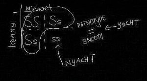 Notes