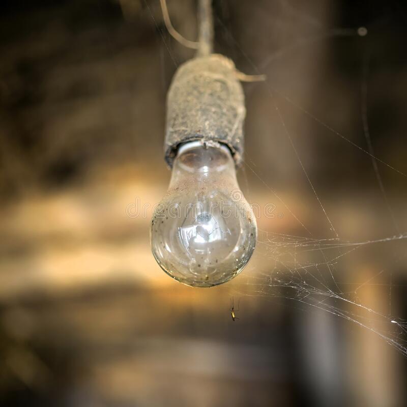 Dusty light bulb