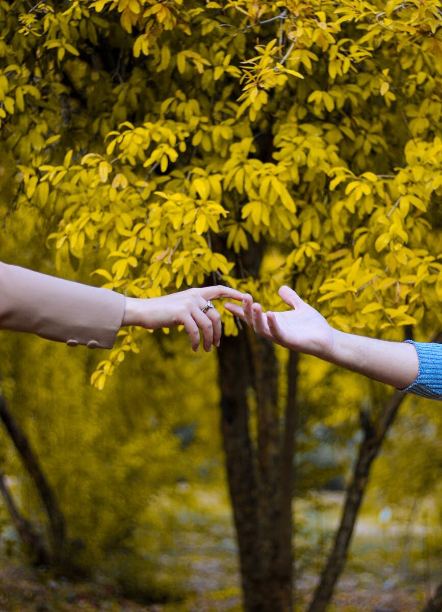 person in blue long sleeve shirt holding yellow flower