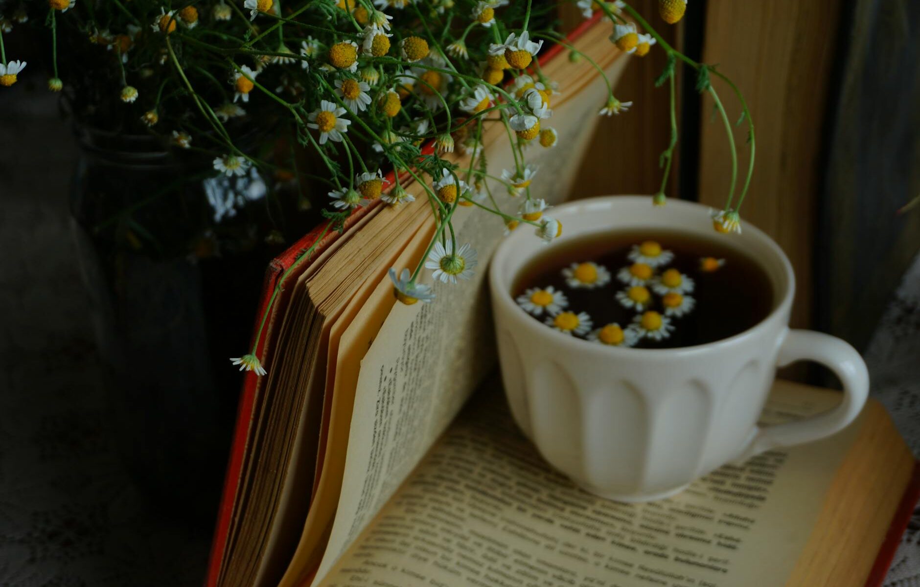 flowers and petals in tea on cup
