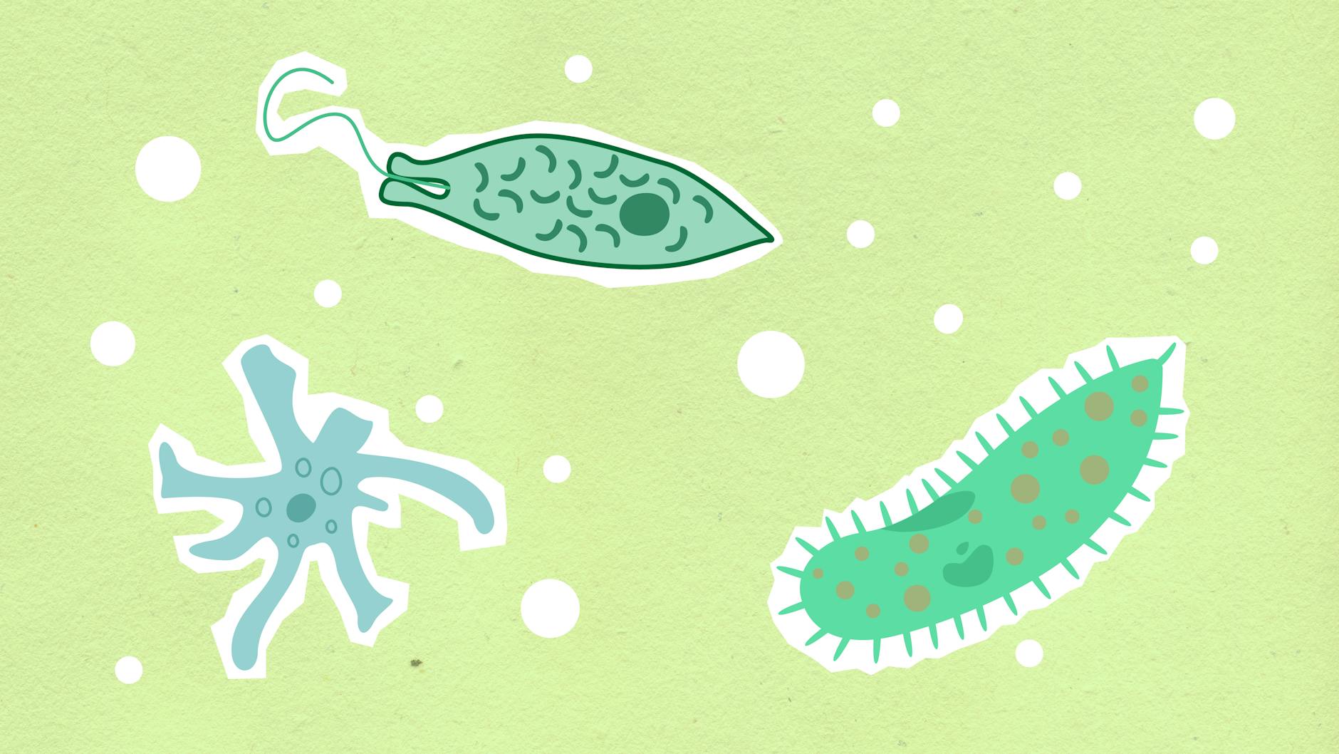 cutout paper illustrations of assorted bacteria on green background